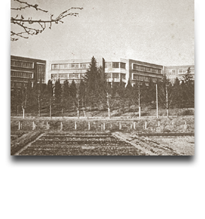 1959 박물관개관