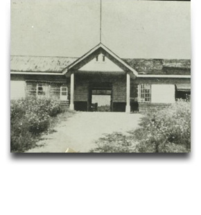 1950년대 대학교 본부